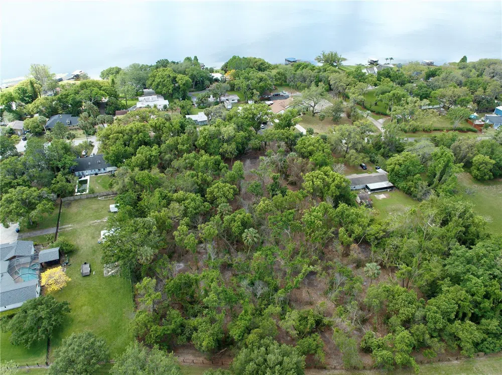 7343 LAKE OLA DRIVE Mount Dora, FL 32757