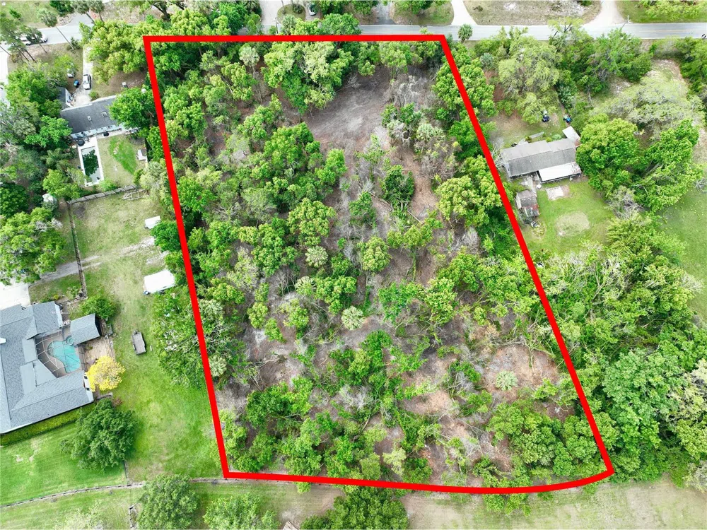 7343 LAKE OLA DRIVE Mount Dora, FL 32757