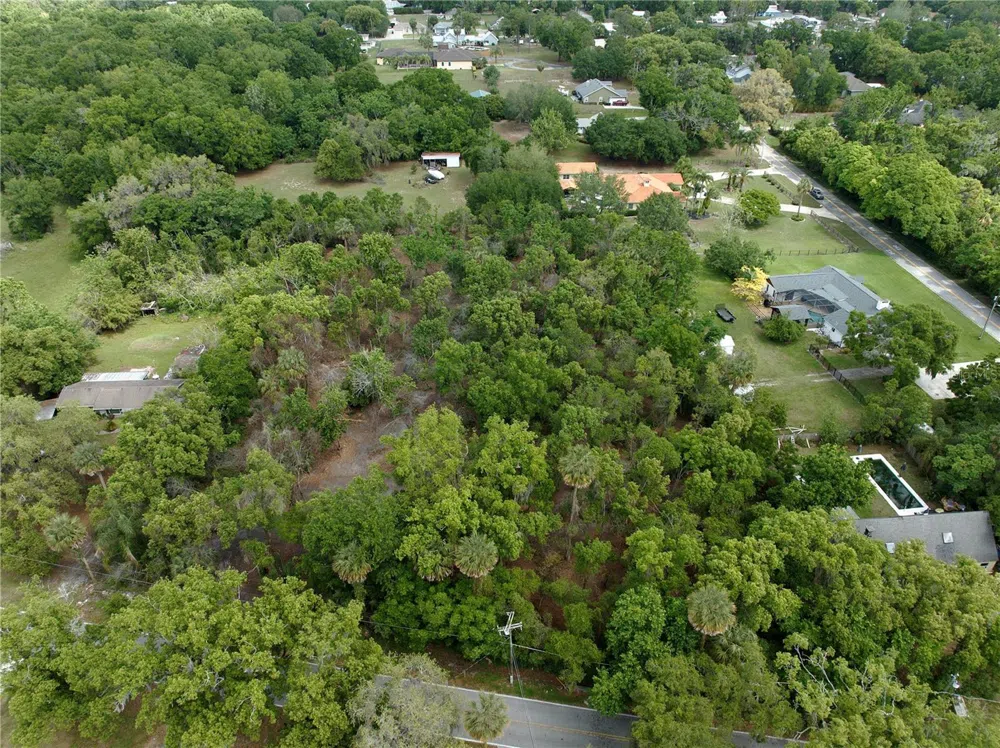 7343 LAKE OLA DRIVE Mount Dora, FL 32757