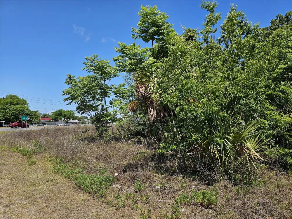 S HWY 301 Belleview, FL 34420