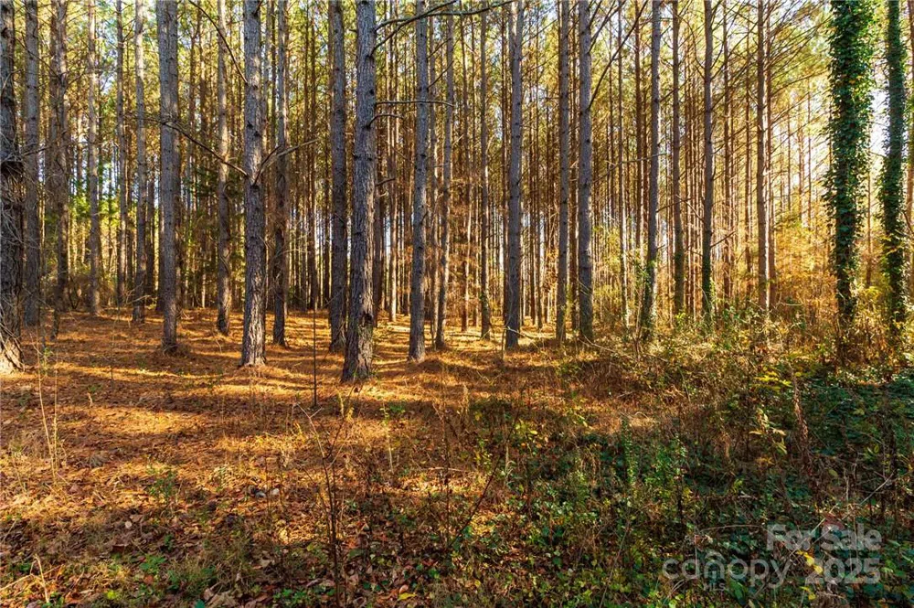 155 Patterson Road Kings Mountain, NC 28086