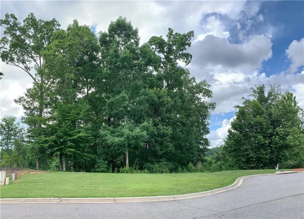 4920 Roaring Fork Pass Suwanee, GA 30024