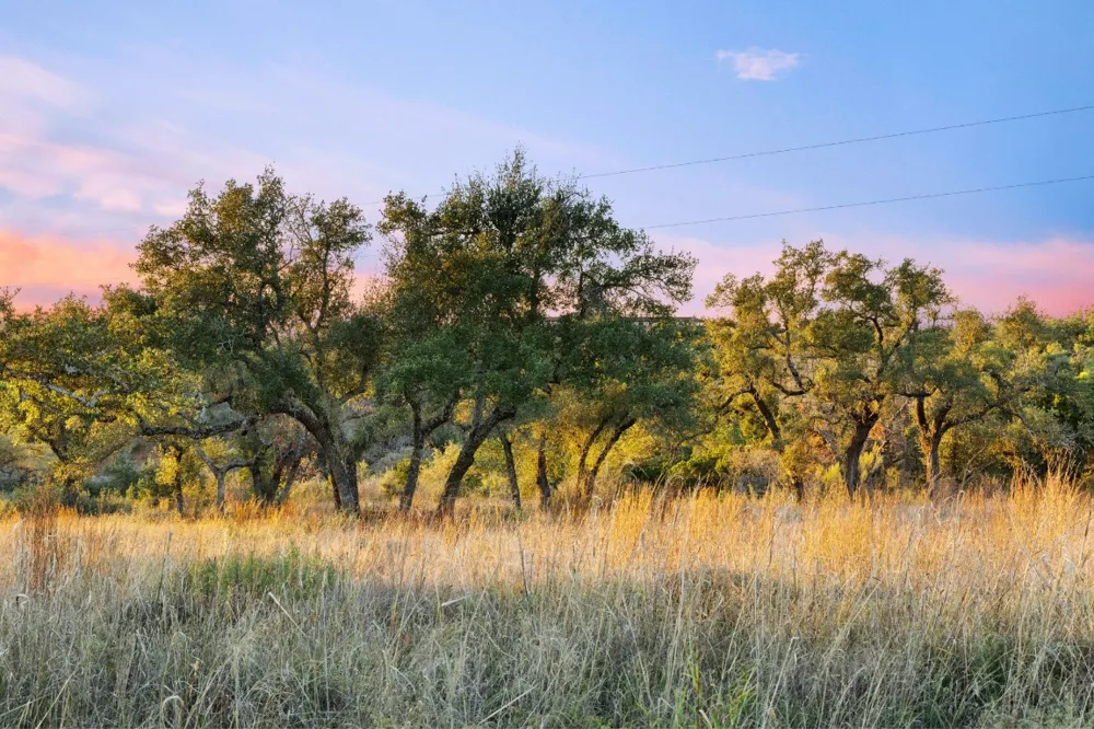 18700 Moreh Peak Pass Austin, TX 78738