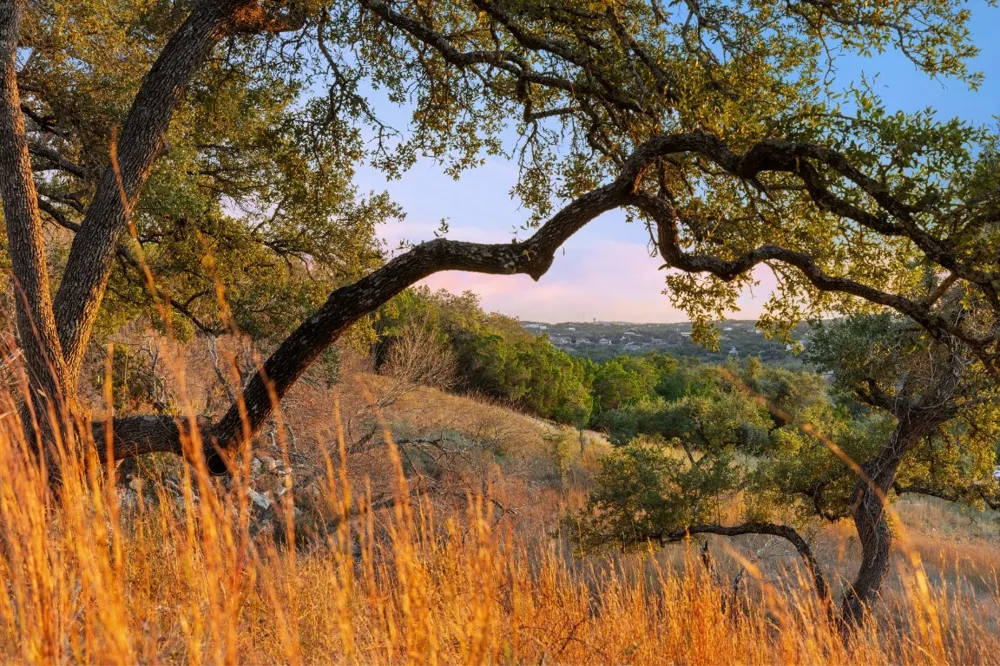 18700 Moreh Peak Pass Austin, TX 78738