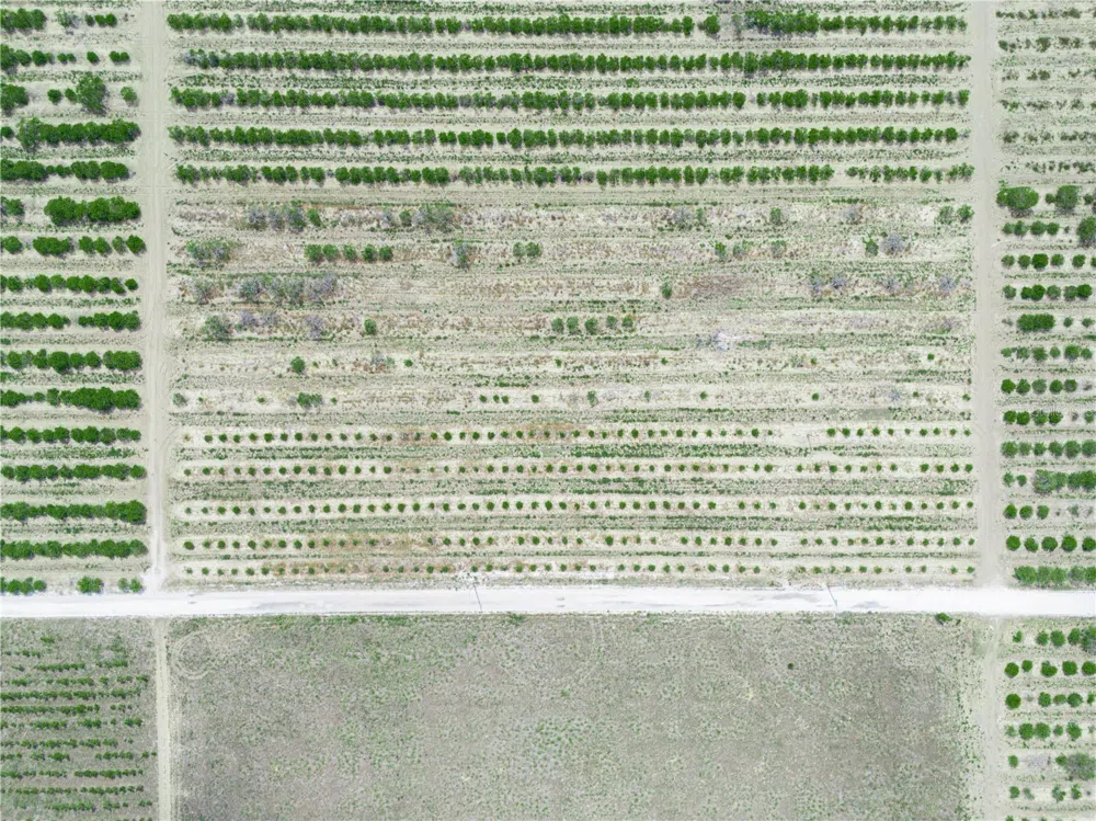 GILBERT ROAD Lake Wales, FL 33898