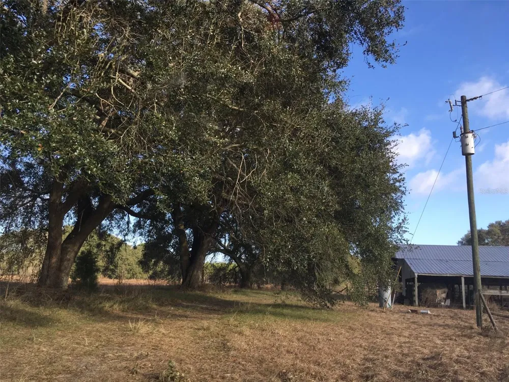15589 104TH STREET Live Oak, FL 32060
