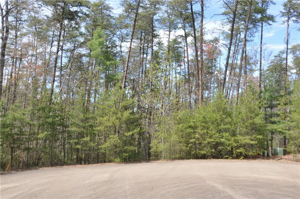 5533 Red Fox Court Big Canoe, GA 30143