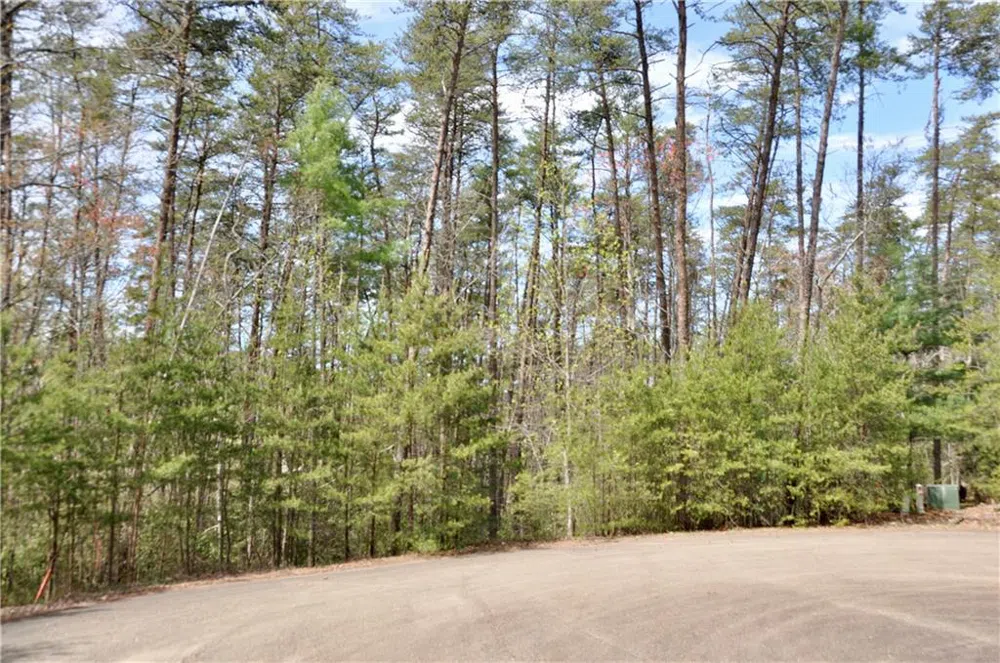 5533 Red Fox Court Big Canoe, GA 30143