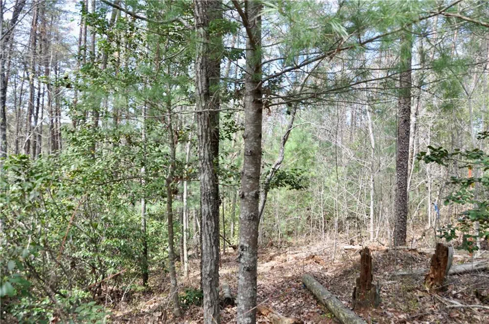 5533 Red Fox Court Big Canoe, GA 30143