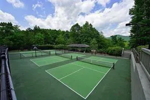 5533 Red Fox Court Big Canoe, GA 30143