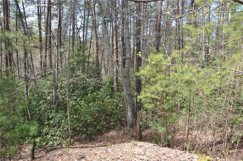 5533 Red Fox Court Big Canoe, GA 30143