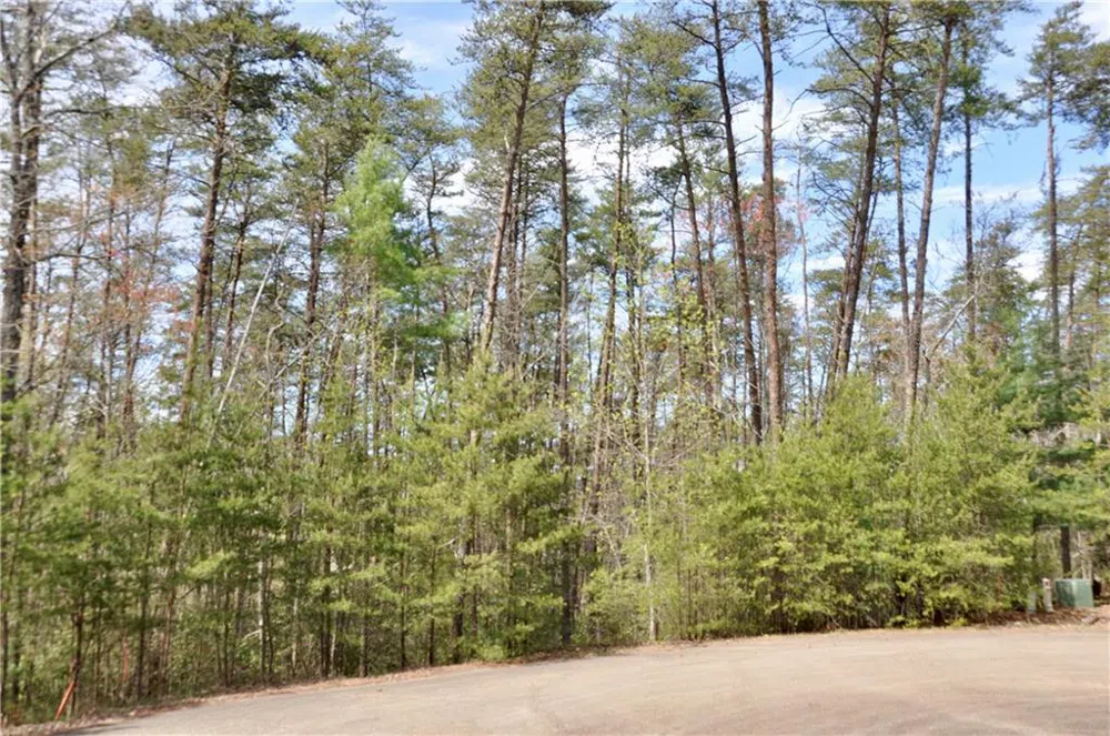 5533 Red Fox Court Big Canoe, GA 30143
