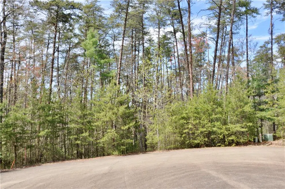 5533 Red Fox Court Big Canoe, GA 30143