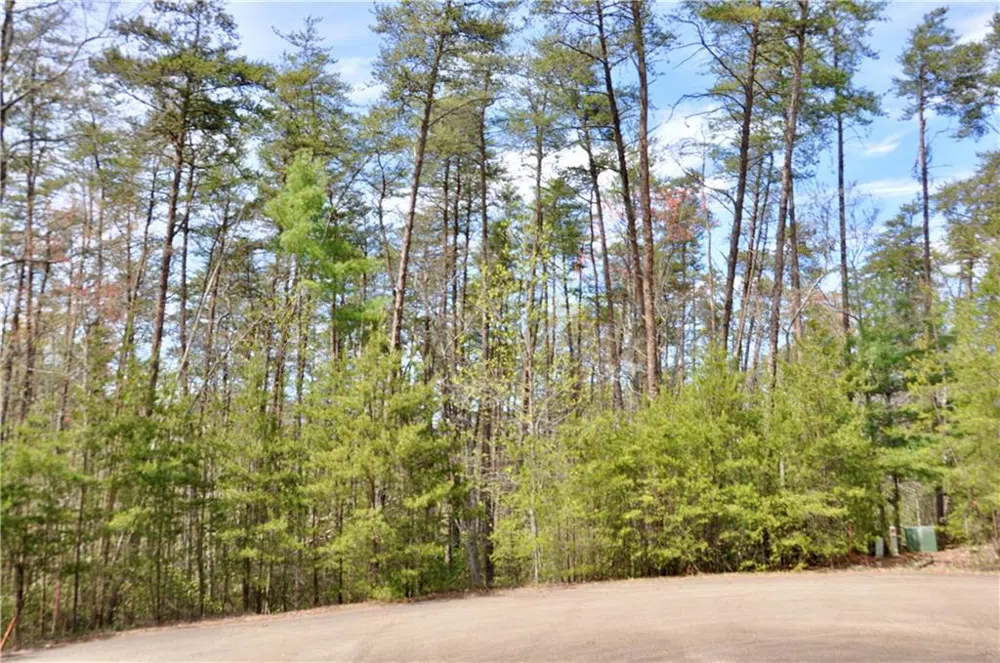 5533 Red Fox Court Big Canoe, GA 30143