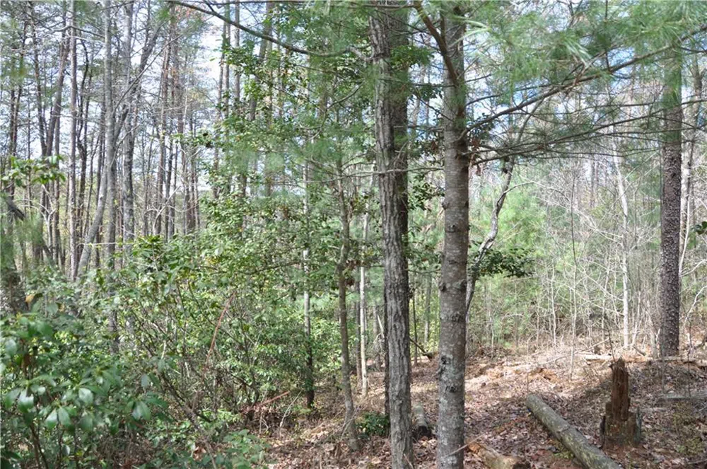 5533 Red Fox Court Big Canoe, GA 30143