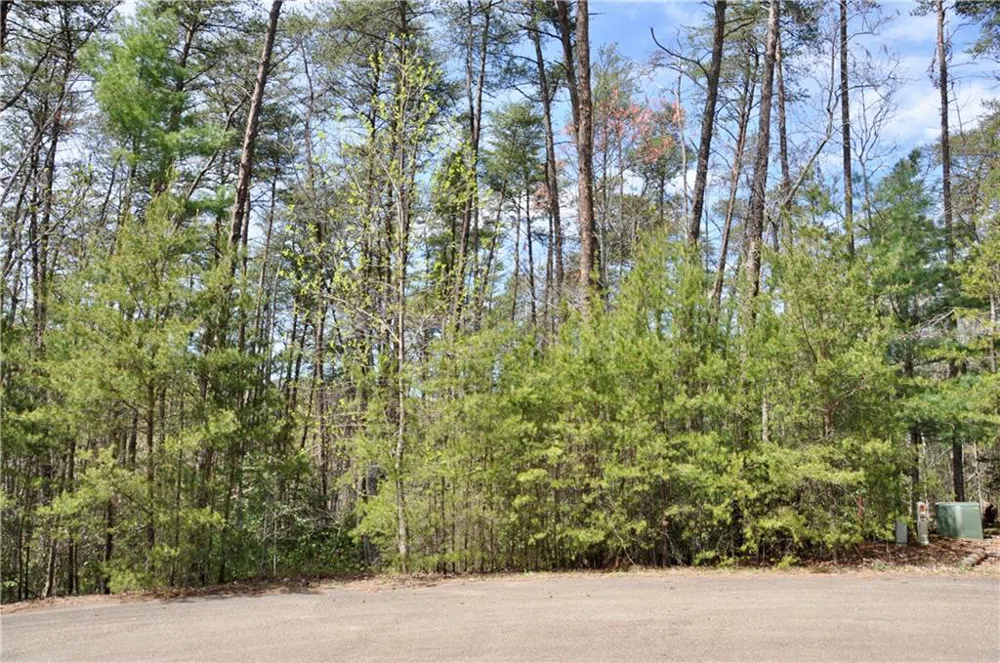 5533 Red Fox Court Big Canoe, GA 30143