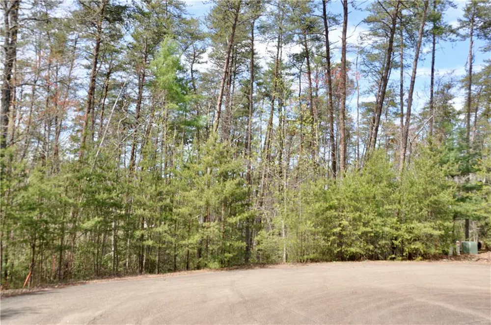 5533 Red Fox Court Big Canoe, GA 30143