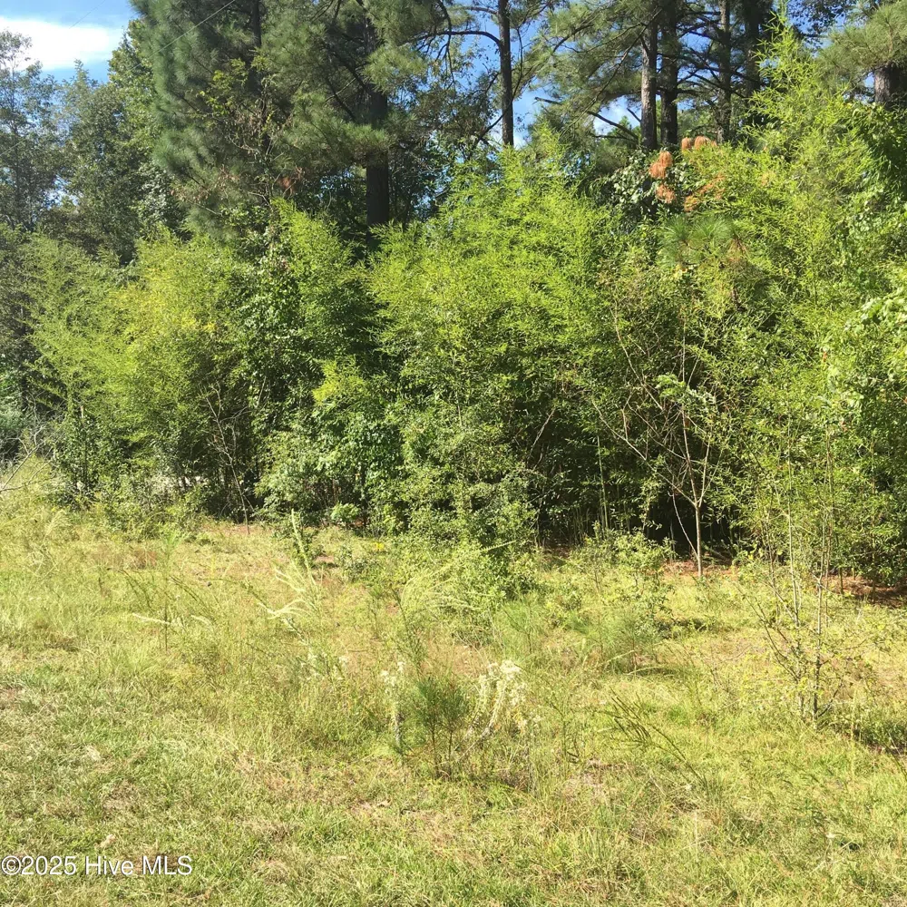 Tbd Plank Road Robbins, NC 27325