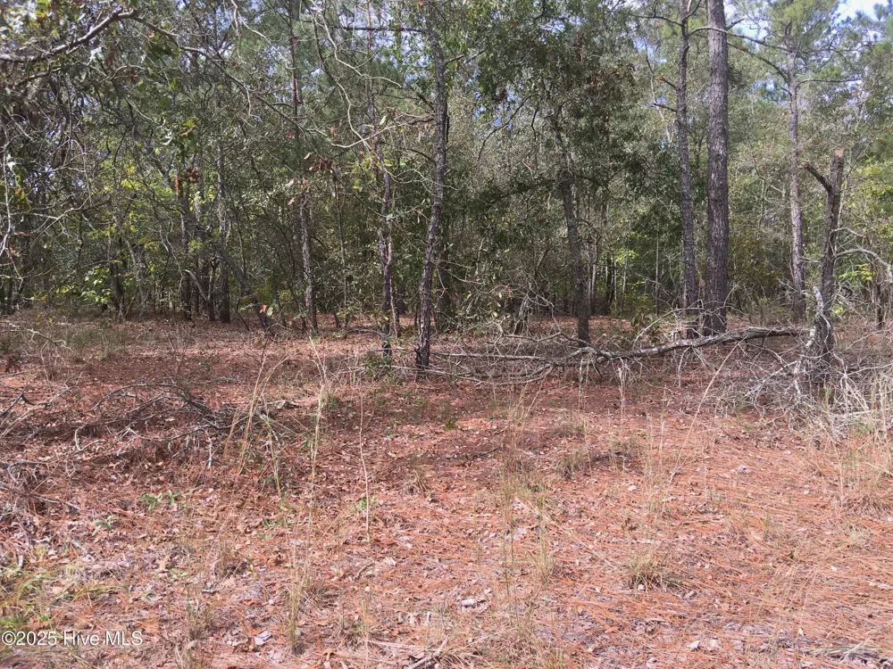 Tbd Plank Road Robbins, NC 27325