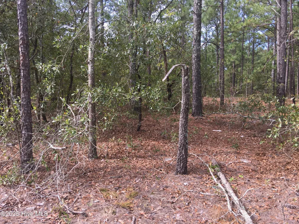 Tbd Plank Road Robbins, NC 27325