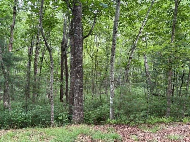 44 A Red Oak Lane #FR 44A Brevard, NC 28712