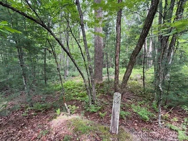 44 A Red Oak Lane #FR 44A Brevard, NC 28712