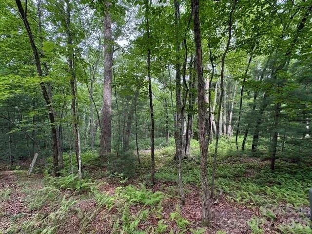 44 A Red Oak Lane #FR 44A Brevard, NC 28712