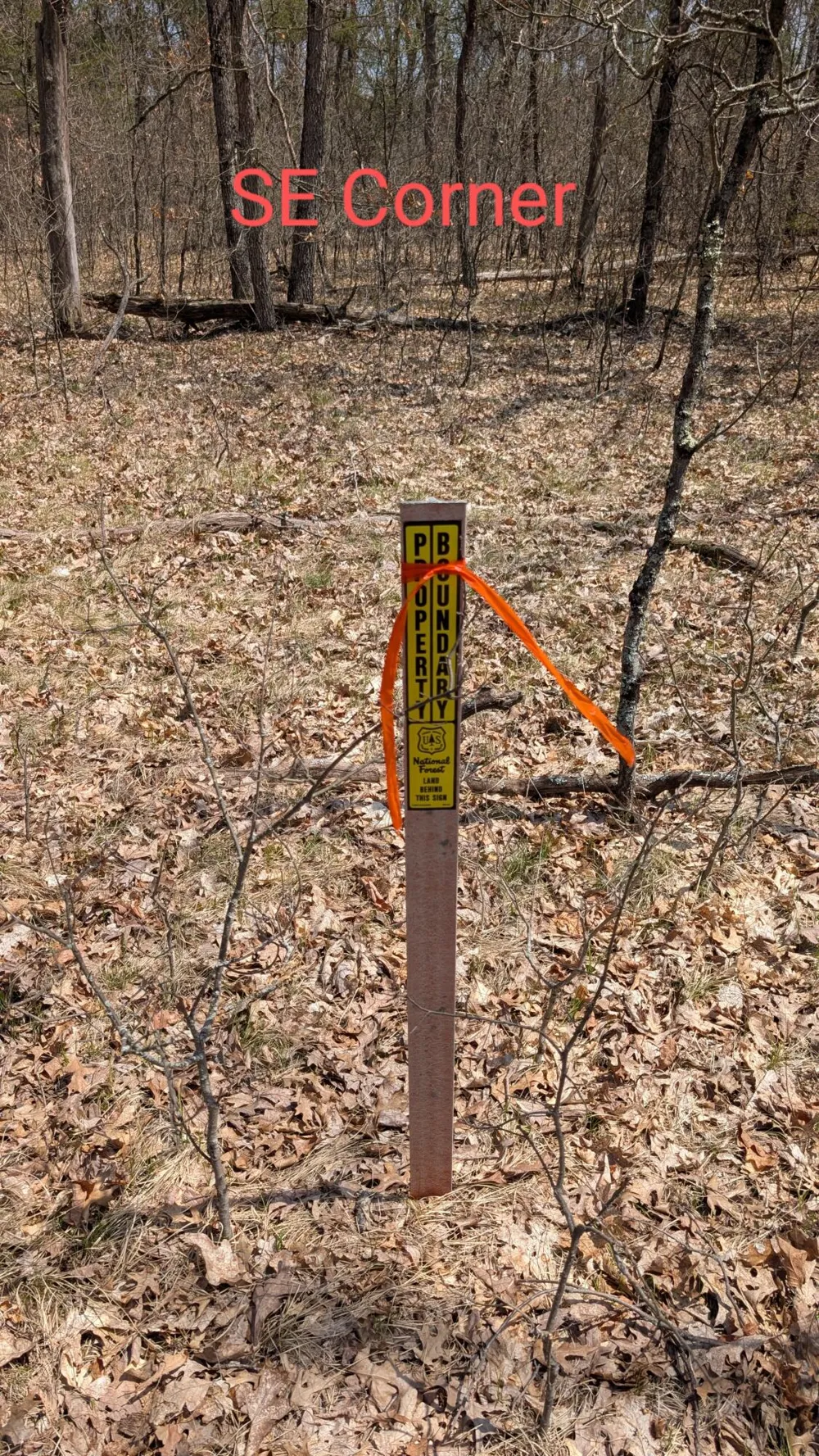 Free Soil Free Soil, MI 49411