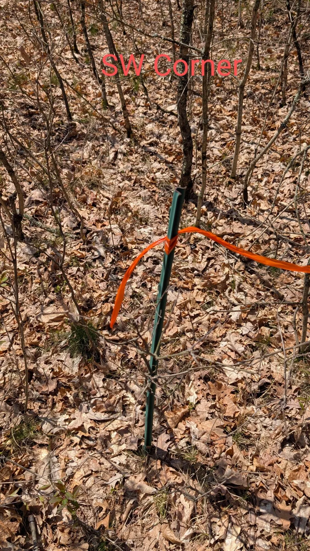 Free Soil Free Soil, MI 49411