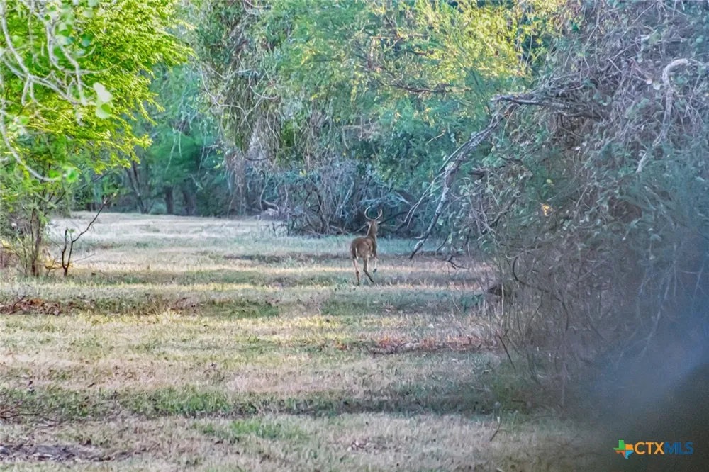 Smith Road Victoria, TX 77905