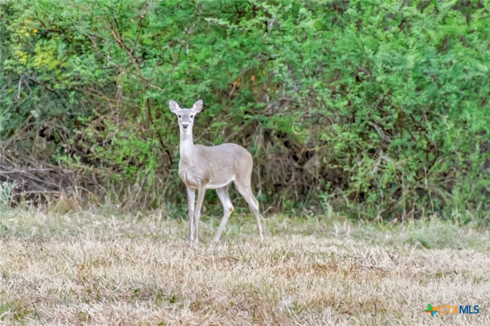 Smith Road Victoria, TX 77905