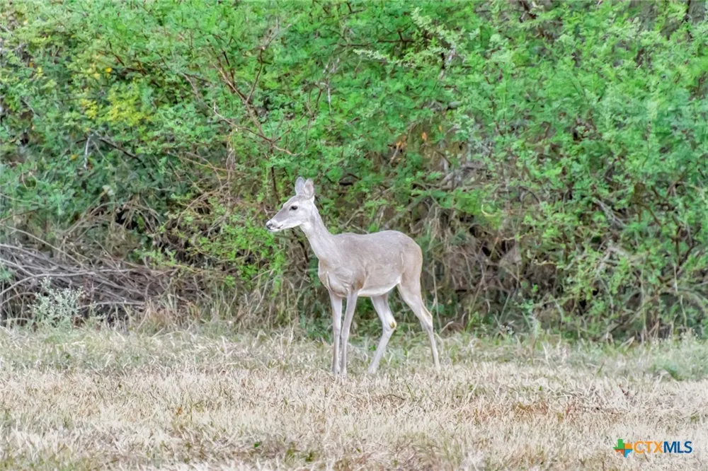Smith Road Victoria, TX 77905