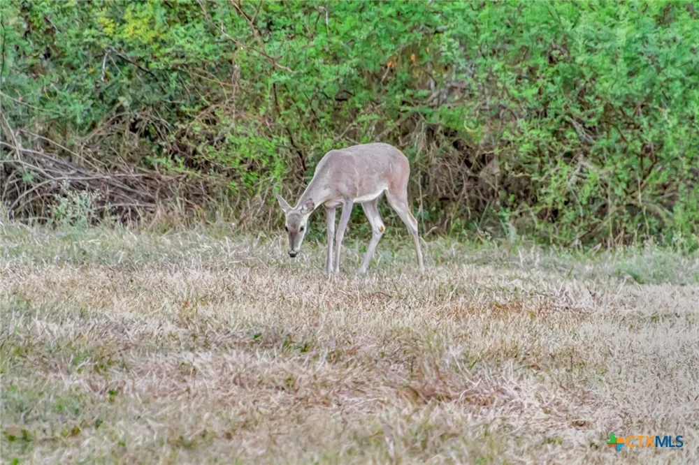 Smith Road Victoria, TX 77905