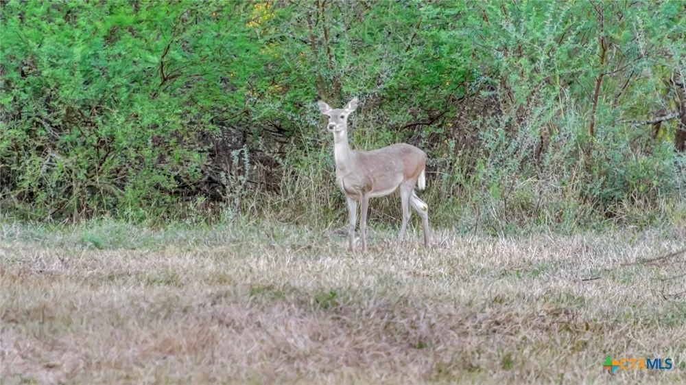 Smith Road Victoria, TX 77905