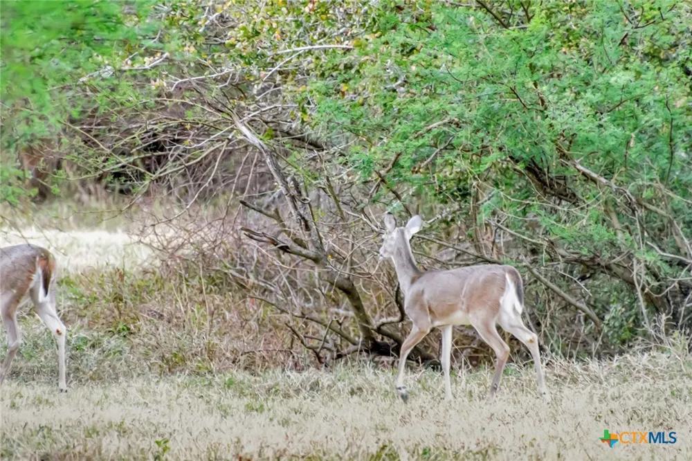 Smith Road Victoria, TX 77905