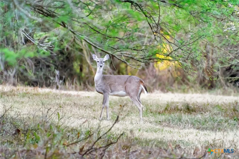 Smith Road Victoria, TX 77905