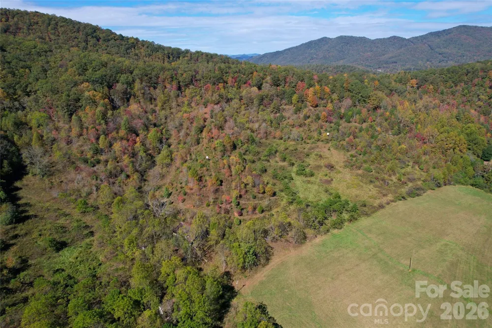 4136 Rose Creek Road Franklin, NC 28734