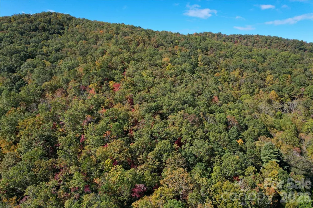 4136 Rose Creek Road Franklin, NC 28734