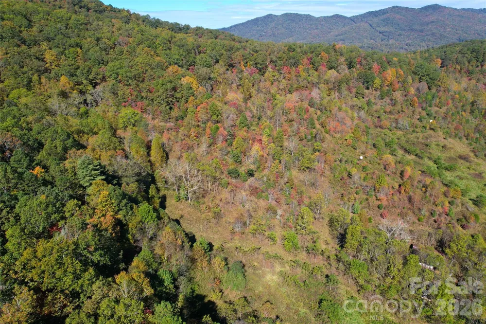 4136 Rose Creek Road Franklin, NC 28734