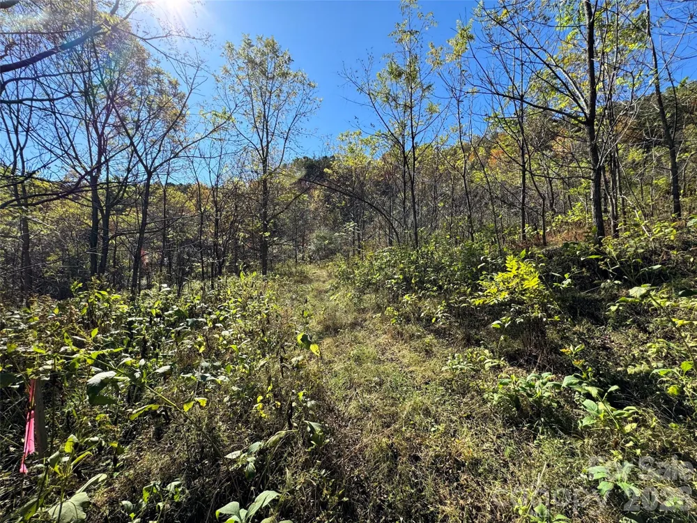 4136 Rose Creek Road Franklin, NC 28734