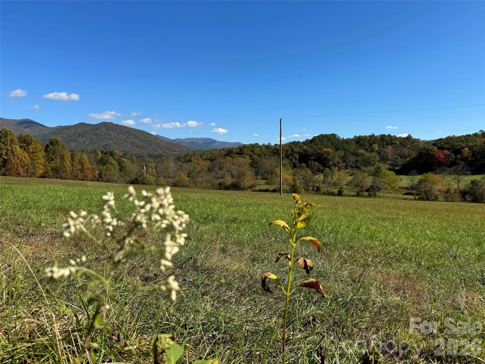4136 Rose Creek Road Franklin, NC 28734