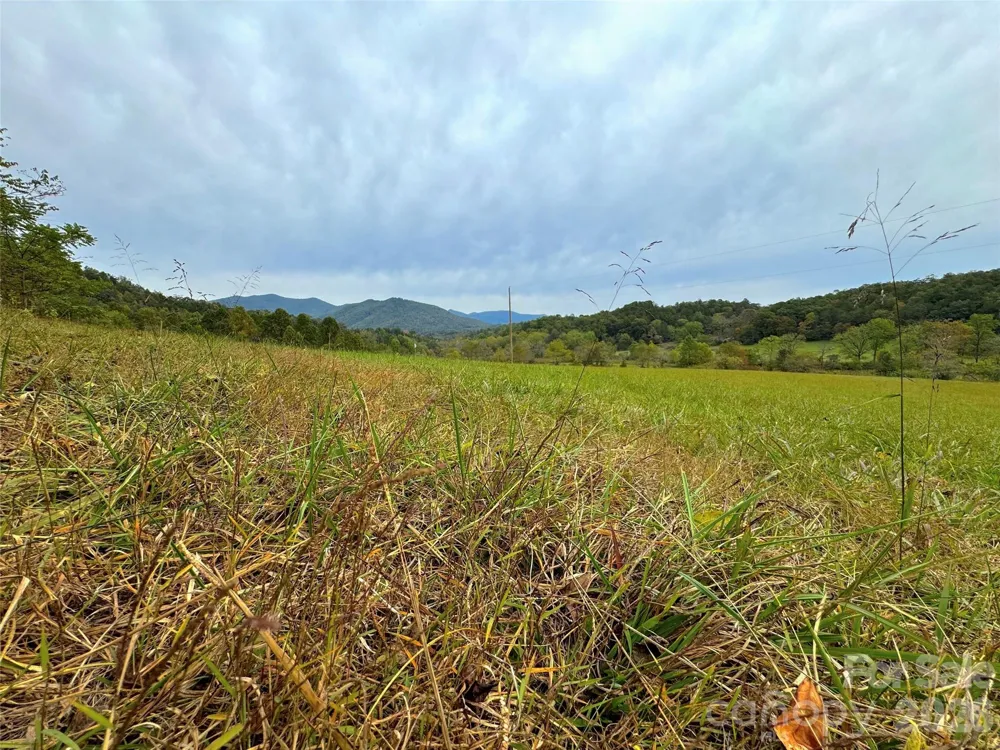 4136 Rose Creek Road Franklin, NC 28734