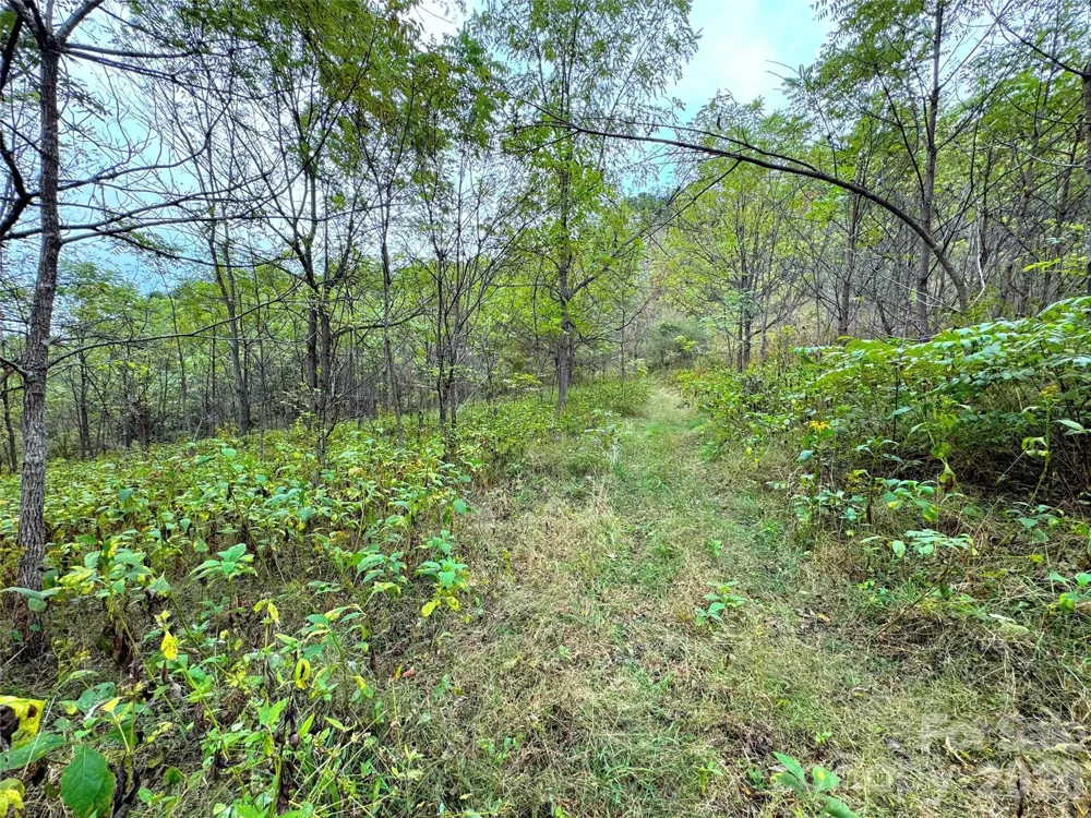 4136 Rose Creek Road Franklin, NC 28734