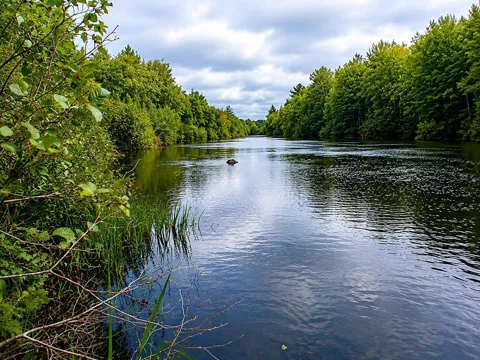 Lot 1 State Road 27/70
