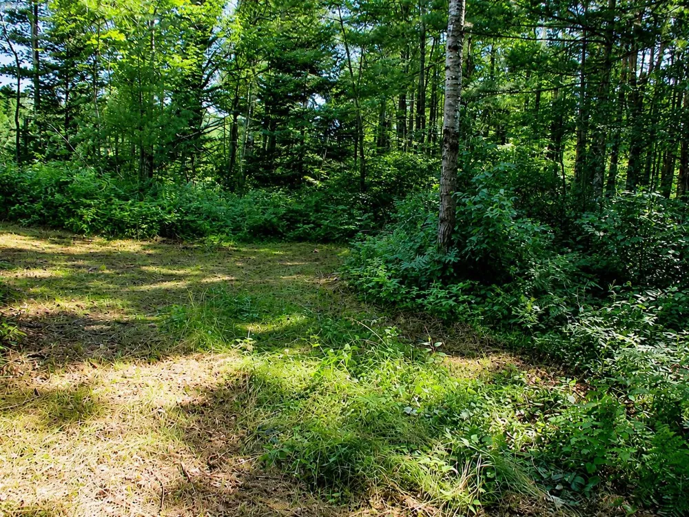 Lot 2 State Road 27/70 Couderay, WI 54828