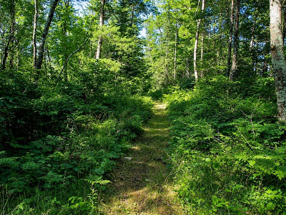 Lot 2 State Road 27/70 Couderay, WI 54828