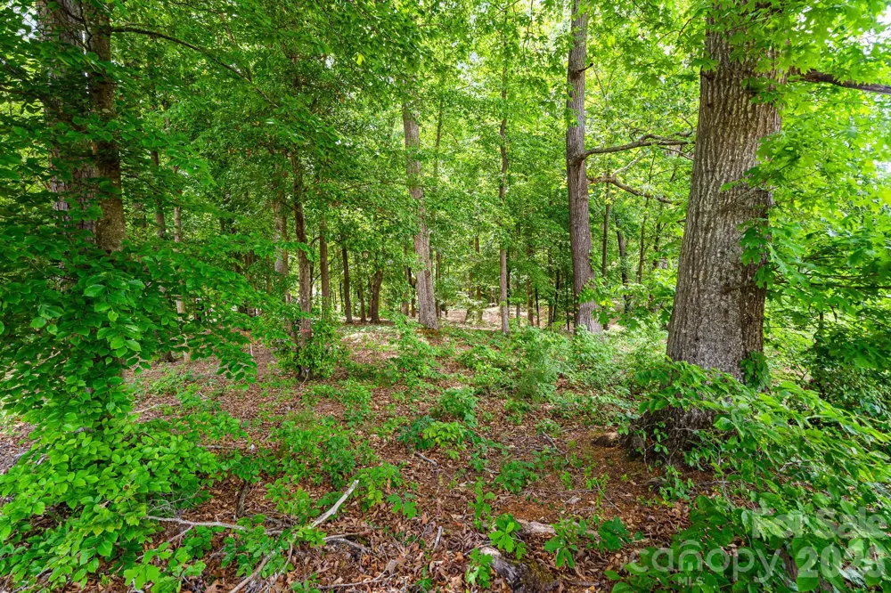 Lot 10 Eagle Pointe Drive Norwood, NC 28128