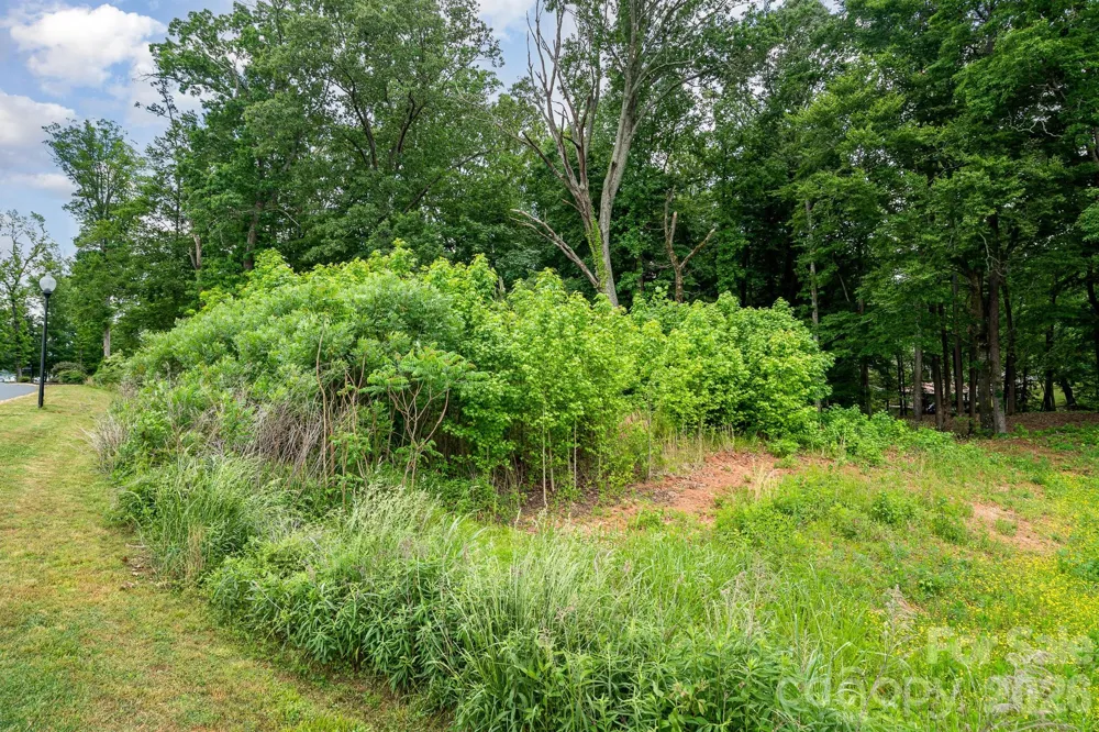 Lot 10 Eagle Pointe Drive Norwood, NC 28128
