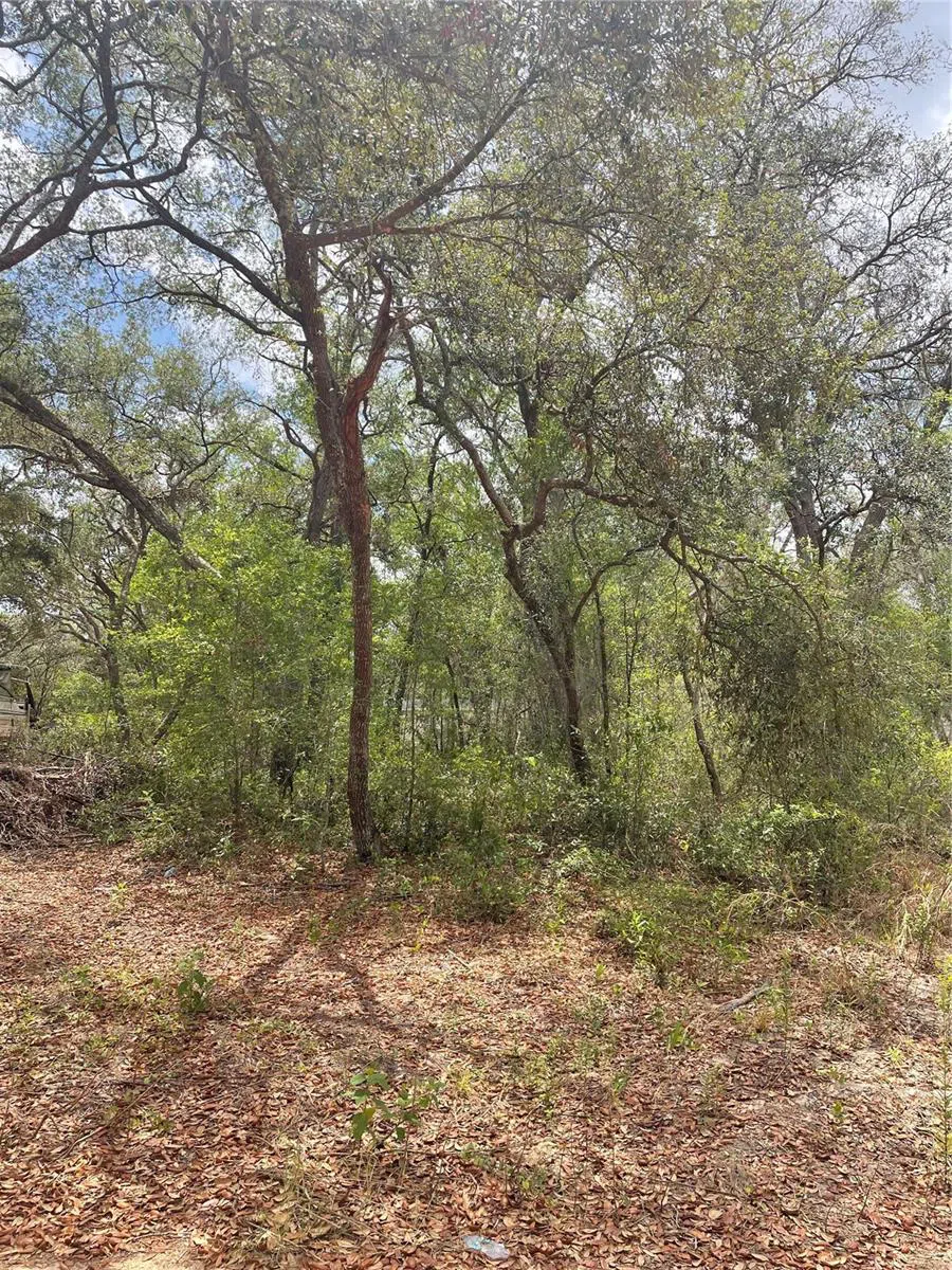 JUNIPER STREET Lady Lake, FL 32159
