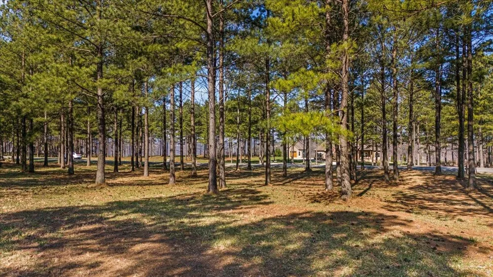950 Cumberland Circle Jasper, TN 37347